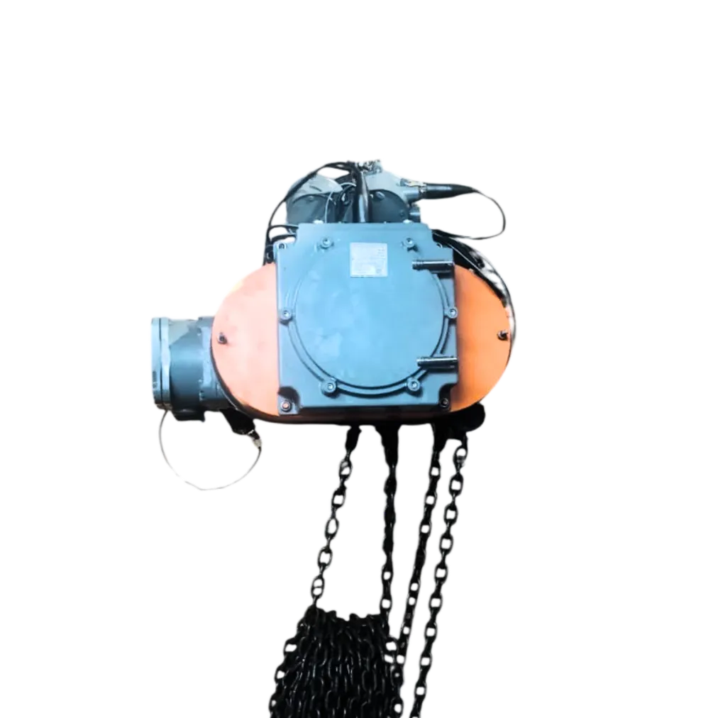 6. VFD CHAIN HOIST
